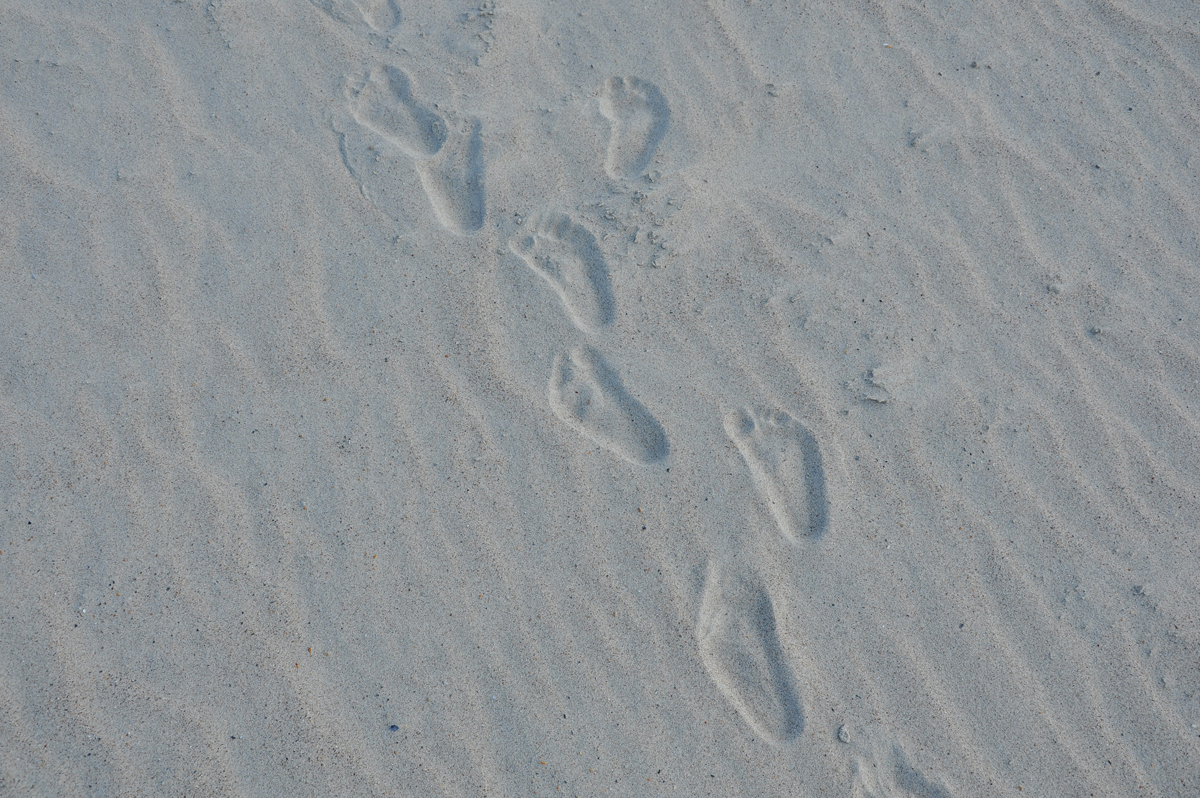 Emerald Isle_d2 (15)